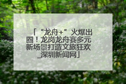 “龙舟+”火爆出圈！龙岗龙舟赛多元新场景打造文旅狂欢_深圳新闻网