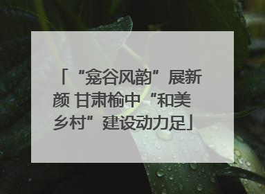 “龛谷风韵”展新颜 甘肃榆中“和美乡村”建设动力足