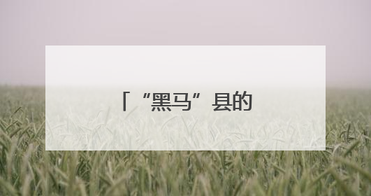 “黑马”县的“金”点子→