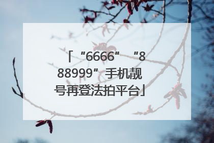 “6666”“888999”手机靓号再登法拍平台