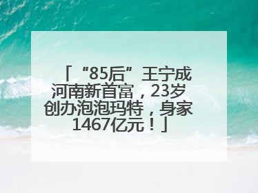 “85后”王宁成河南新首富，23岁创办泡泡玛特，身家1467亿元！