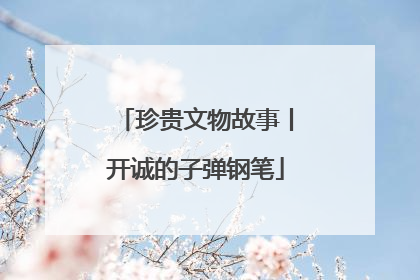 珍贵文物故事丨开诚的子弹钢笔