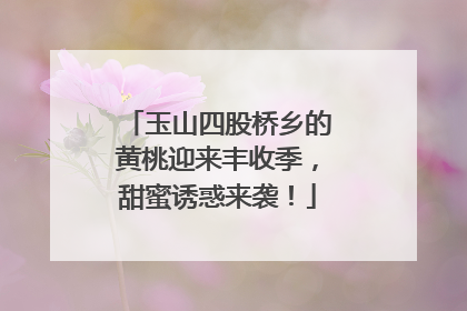 玉山四股桥乡的黄桃迎来丰收季，甜蜜诱惑来袭！