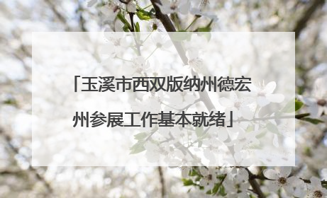 玉溪市西双版纳州德宏州参展工作基本就绪