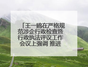王一鸥在严格规范涉企行政检查暨行政执法评议工作会议上强调 推进涉企行政检查质效大幅提升