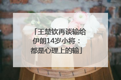 王楚钦再谈输给伊朗14岁小将：都是心理上的输