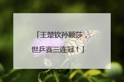 王楚钦孙颖莎，世乒赛三连冠！