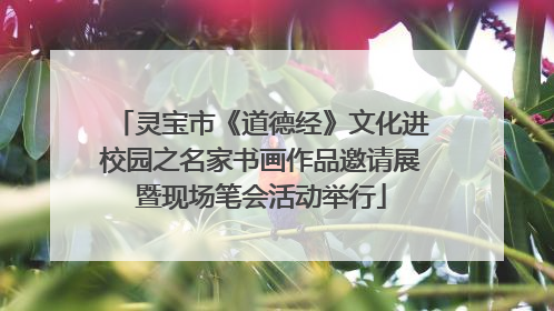 灵宝市《道德经》文化进校园之名家书画作品邀请展暨现场笔会活动举行