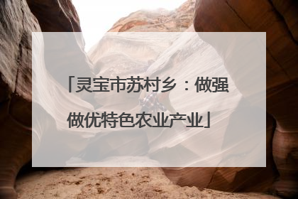灵宝市苏村乡：做强做优特色农业产业