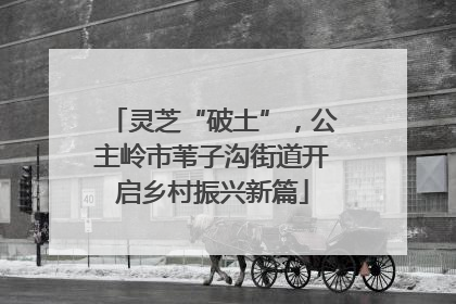 灵芝“破土”，公主岭市苇子沟街道开启乡村振兴新篇
