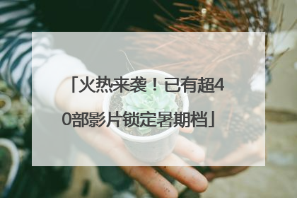 火热来袭！已有超40部影片锁定暑期档