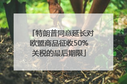 特朗普同意延长对欧盟商品征收50%关税的最后期限