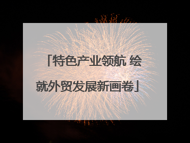 特色产业领航 绘就外贸发展新画卷