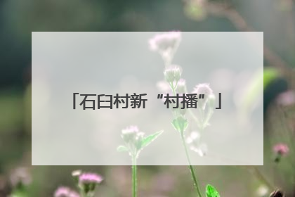 石臼村新“村播”