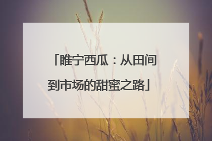 睢宁西瓜：从田间到市场的甜蜜之路