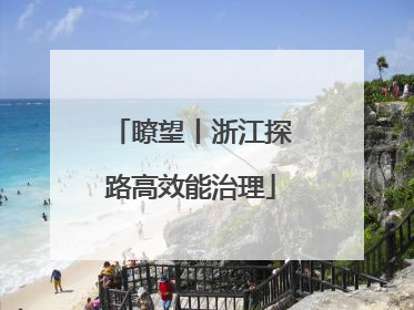 瞭望丨浙江探路高效能治理