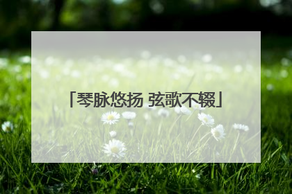 琴脉悠扬 弦歌不辍