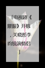 电视剧《耀眼》开机，关晓彤李昀锐演情侣