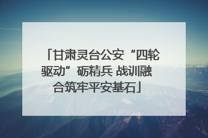 甘肃灵台公安“四轮驱动”砺精兵 战训融合筑牢平安基石