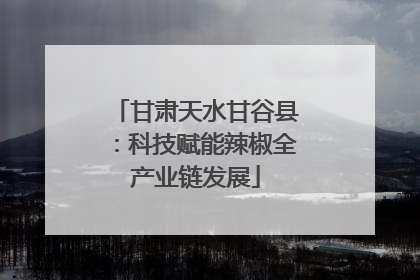 甘肃天水甘谷县：科技赋能辣椒全产业链发展