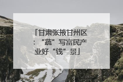 甘肃张掖甘州区：“蔬”写富民产业好“钱”景