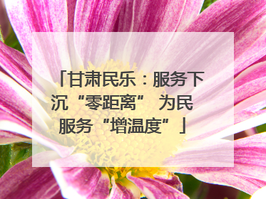 甘肃民乐：服务下沉“零距离” 为民服务“增温度”