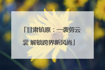 甘肃镇原：一袭剪云裳 解锁跨界新风尚