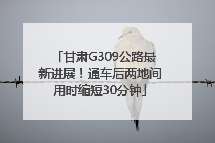 甘肃G309公路最新进展！通车后两地间用时缩短30分钟