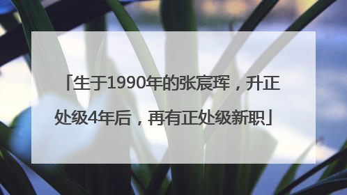 生于1990年的张宸珲，升正处级4年后，再有正处级新职