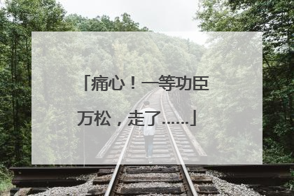 痛心！一等功臣万松，走了……