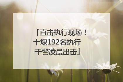 直击执行现场！十堰192名执行干警凌晨出击