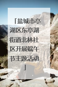 盐城市亭湖区东亭湖街道北林社区开展端午节主题活动