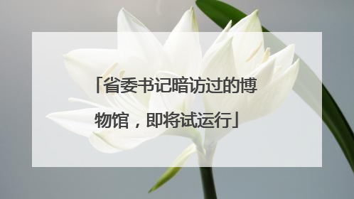 省委书记暗访过的博物馆，即将试运行