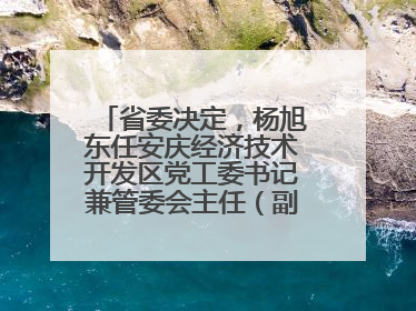 省委决定，杨旭东任安庆经济技术开发区党工委书记兼管委会主任（副厅级）