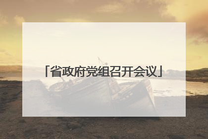 省政府党组召开会议