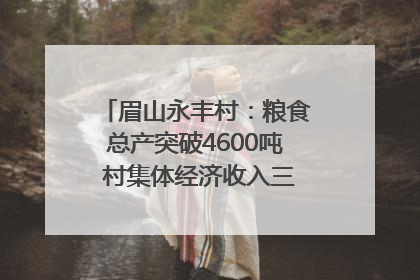 眉山永丰村：粮食总产突破4600吨 村集体经济收入三年倍增｜牵挂的村