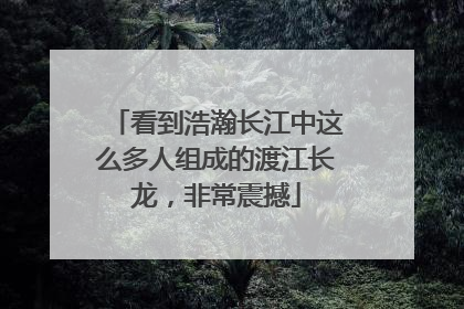 看到浩瀚长江中这么多人组成的渡江长龙，非常震撼