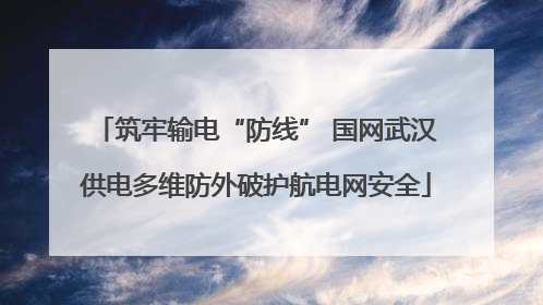筑牢输电“防线” 国网武汉供电多维防外破护航电网安全