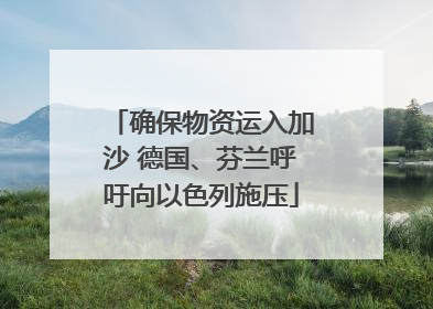确保物资运入加沙 德国、芬兰呼吁向以色列施压