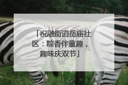 祝融街道岳庙社区：粽香伴童趣，趣味庆双节