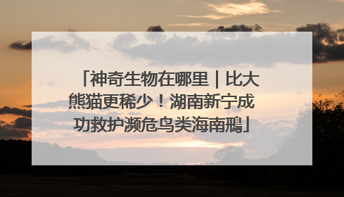 神奇生物在哪里｜比大熊猫更稀少！湖南新宁成功救护濒危鸟类海南鳽