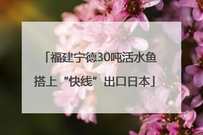 福建宁德30吨活水鱼搭上“快线”出口日本