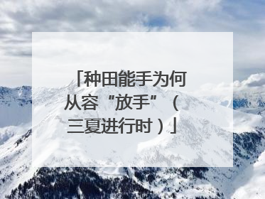 种田能手为何从容“放手”（三夏进行时）