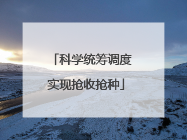 科学统筹调度实现抢收抢种