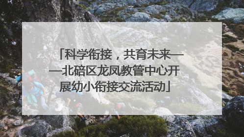 科学衔接，共育未来——北碚区龙凤教管中心开展幼小衔接交流活动