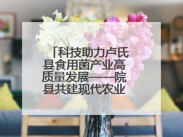 科技助力卢氏县食用菌产业高质量发展——院县共建现代农业科技示范县