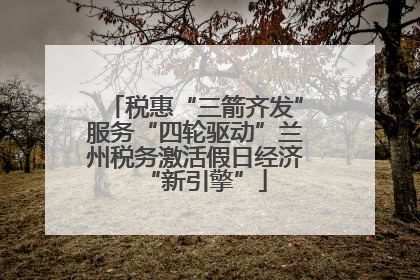 税惠“三箭齐发”服务“四轮驱动”兰州税务激活假日经济“新引擎”
