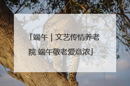 端午｜文艺传情养老院 端午敬老爱意浓