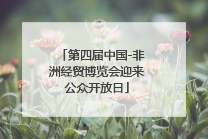 第四届中国-非洲经贸博览会迎来公众开放日