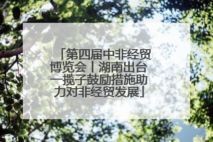第四届中非经贸博览会丨湖南出台一揽子鼓励措施助力对非经贸发展